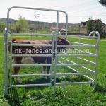 6 Bar Livestock panel pens