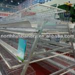 Large-scale Automatic Poultry Cages Chicken Cages