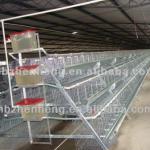 Egg Chicken Cage