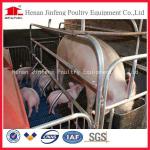 Janapese limit style galvanized pipe pig farrowing pens