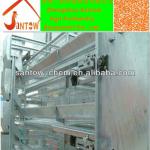 Complete Automatic Poultry Shed