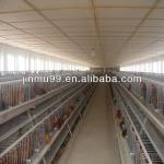 layer chicken poultry house