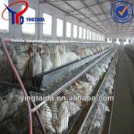 2013 Hot-sale! A H type chicken layer cage (21years factory)