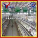 2013 Hot-sale!poultry battery cages(21years factory)