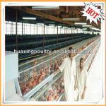 17 years experience poultry farm house factory with accurate layout