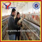 2013 Hot-sale! Poultry Farm Equipment for chickens(21years factory)