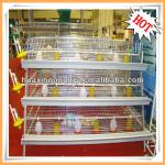 A-type high-quality chicken egg layer cage for sale