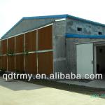 chicken egg poultry farm cage