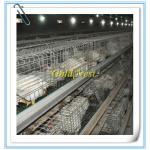 2013 Hotsale automatic chicken broiler cage
