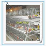 A type poultry farm broiler chicken house