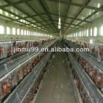 Uganda hot sale chicken cages in poultry farms