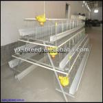 Hot galvanized Automatic poultry equipment for layers farming