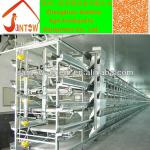 New design fully automatic H-type poultry layer cage