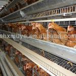 Poultry farming equipment,9TLXD3120 chicken coop