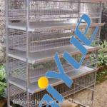 H Type 5 tiers galvanized vertical quail cage for sale