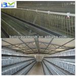 auto design layer chicken cages for Poultry Farm