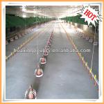 Henan Huaxing automatic chicken feeding system