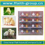 2012 new type vertical brood cage with 4 layer