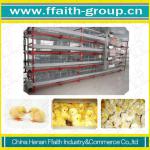 2012 new type H-type brood cage with low cost