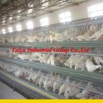 Latest Design Chicken Egg Poultry Farm ( Let our experts advise you to find the best solution for your individual requirements.)