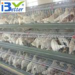Hot-Sale BT factory A-160 cages laying hens(Welcome to Visit my factory)