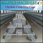 55 Chicken Egg Layer Cages Of Poultry Farm Cages