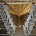 whole broiler chicken cage