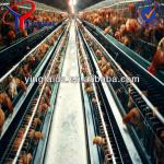 layer or broiler chicken cage for poultry farm for nigeria