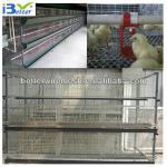 2013 hot-sell H type automatic cages for chickens