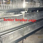 2013 hot-sell H type automatic cages for chickens