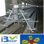 Good quality BT factory A-160 type large cages for kenya farm(Welcome to vist my factory)
