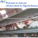 Good quality BT factory A-160 type free chicken coop designs(Welcome to vist my factory)