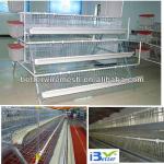 Best selling,Good quality BT factory A-120 egg layers cage design (Welcome to vist my factory)
