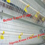 Best selling,Good quality BT factory A-120 chicken layer batter cage(Welcome to vist my factory)