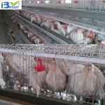 2013 hot-sell H type metal breeding cage(Factory price)