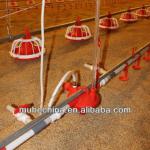 Environment protecting automatic poultry drinking system
