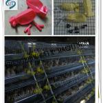 quail house/farm equipment-