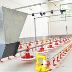 Whole Poultry equipment for Broilers and Breeders