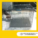 sheep cage