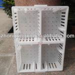 baby chicken live crate