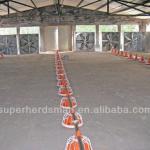 Chicken poultry shed design