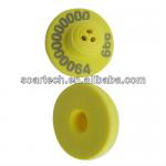 cattle ear tag