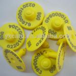 Male and female animals ear tag