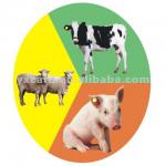 RFID Animal Tag