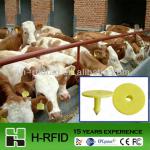 activize RFID Animal ear tag for identification accept Paypal