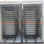 WQ-8448 automatic chicken producing machine for egg incubator