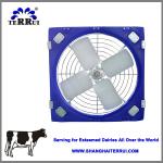 dairy cow farm fans