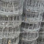 paddock fencing/grassland fencing wire mesh(ISO manufacturer)