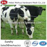 hot sale/favorite all world quality cattle mesh