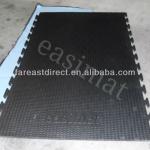 Interlocking Stable Horse Cow Mats 24mm EVA 6ft X 4ft